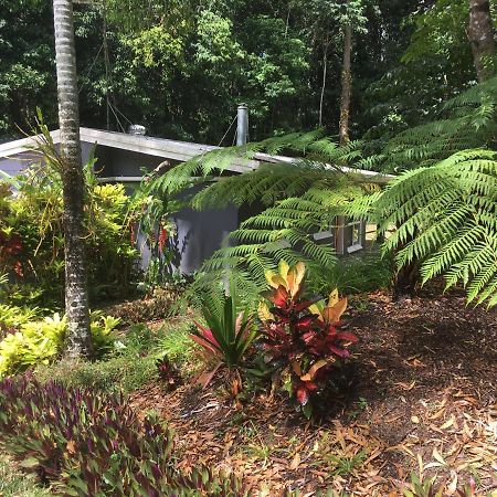 Honeybee House Villa Kuranda Bagian luar foto