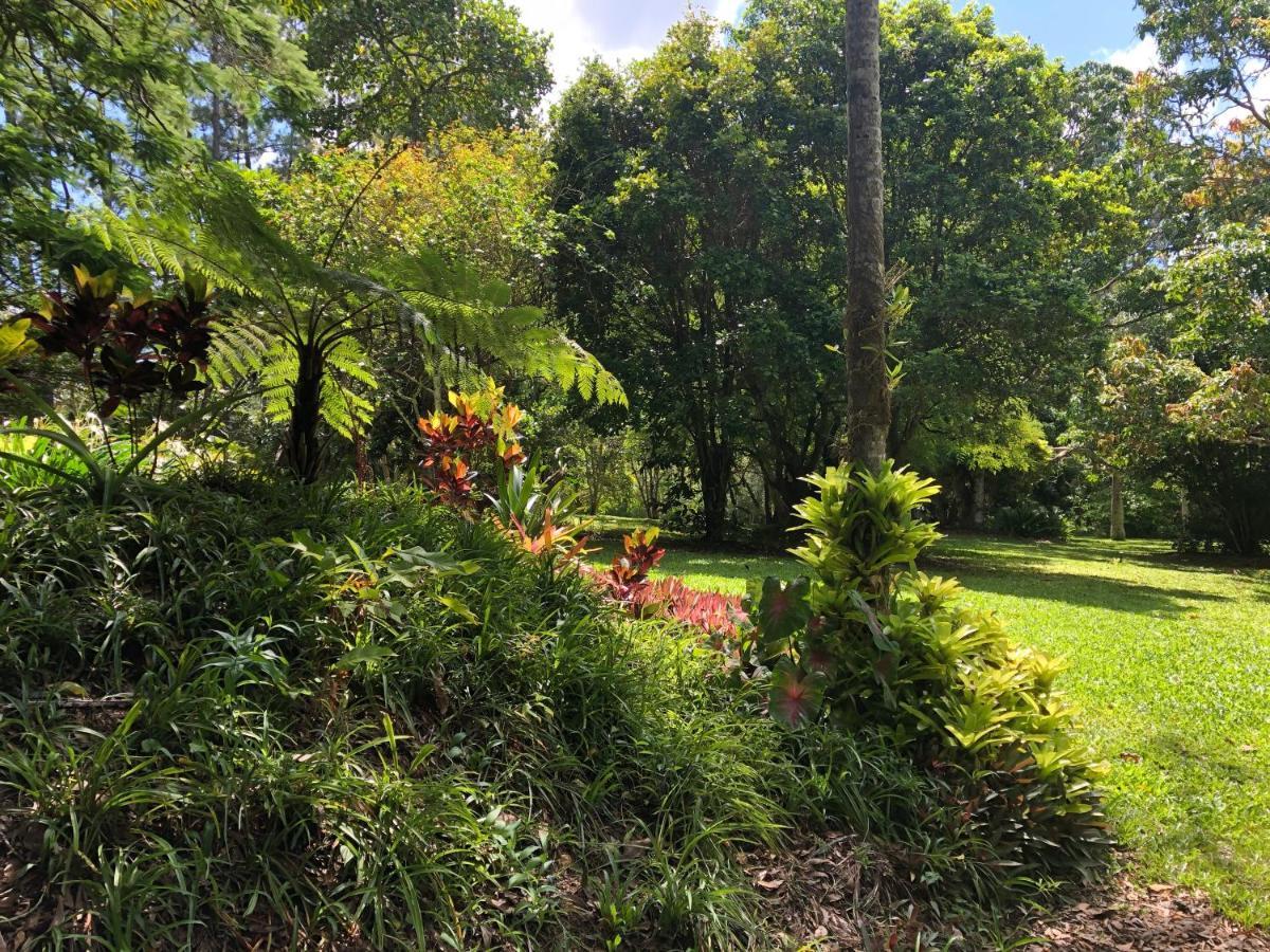 Honeybee House Villa Kuranda Bagian luar foto
