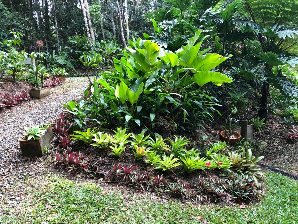 Honeybee House Villa Kuranda Bagian luar foto