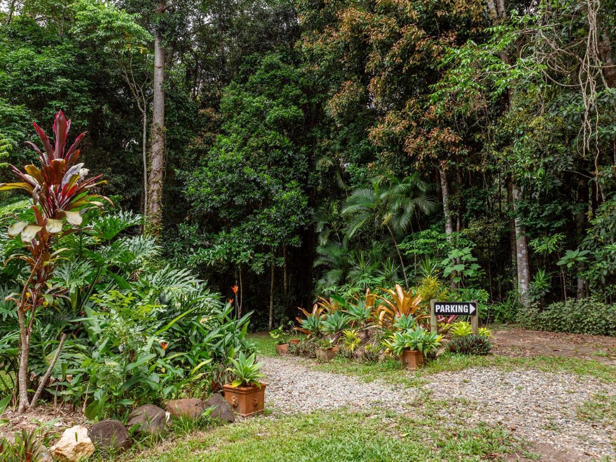 Honeybee House Villa Kuranda Bagian luar foto